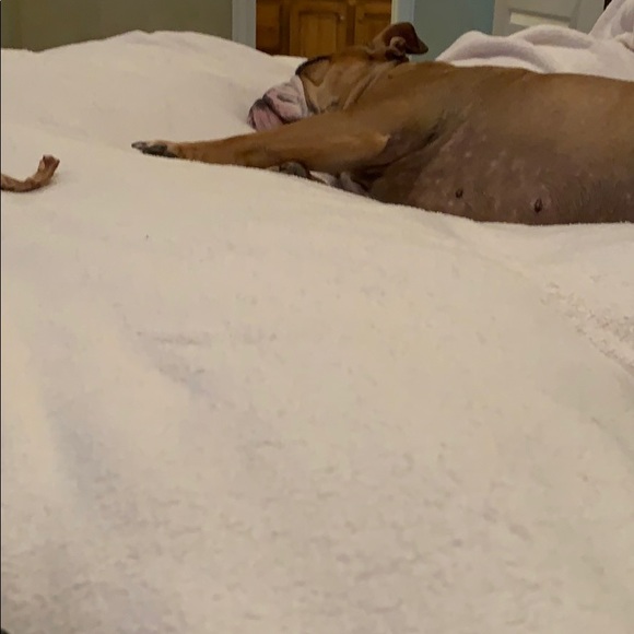 Meet your Posher, Ces - Picture 1 of 1